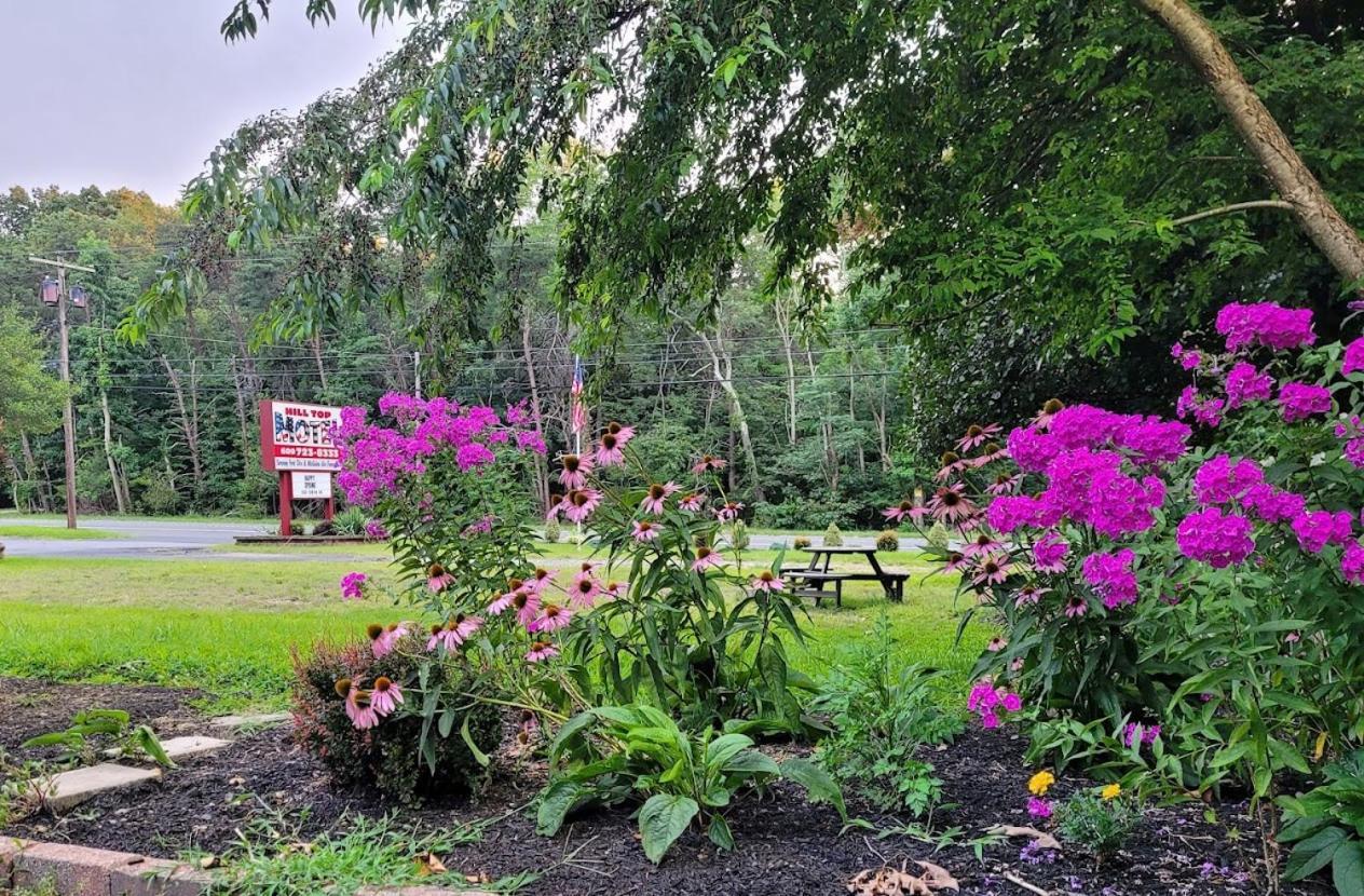Hill Top Motel Wrightstown Экстерьер фото